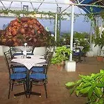 Hotel Maurya International