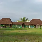 Olive Resort - Spacious 7 Bhk Ac Rooms With 1 Acre Garden, Swimming Pool And Outdoor Games