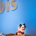 Ibis Chennai City Centre - An Accor Brand