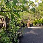 The Beach House