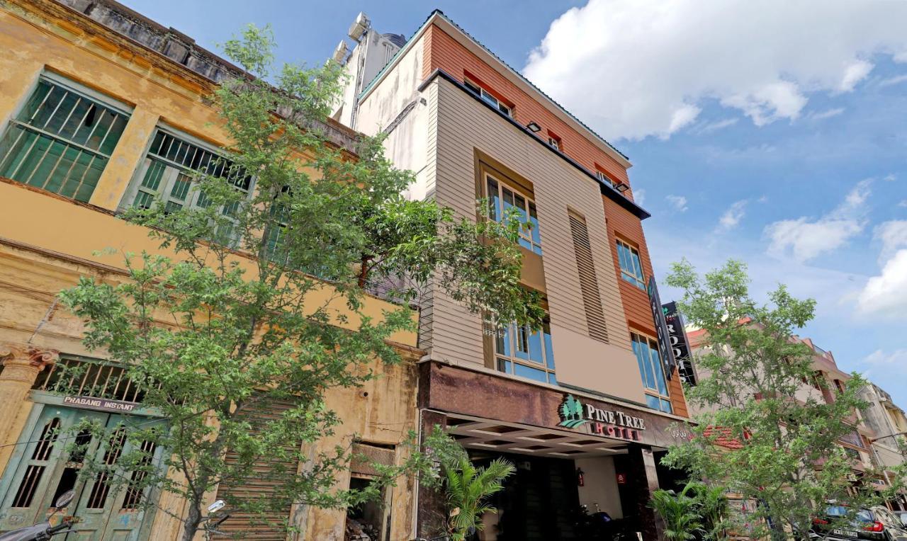 Pine Tree Boutique 3*
