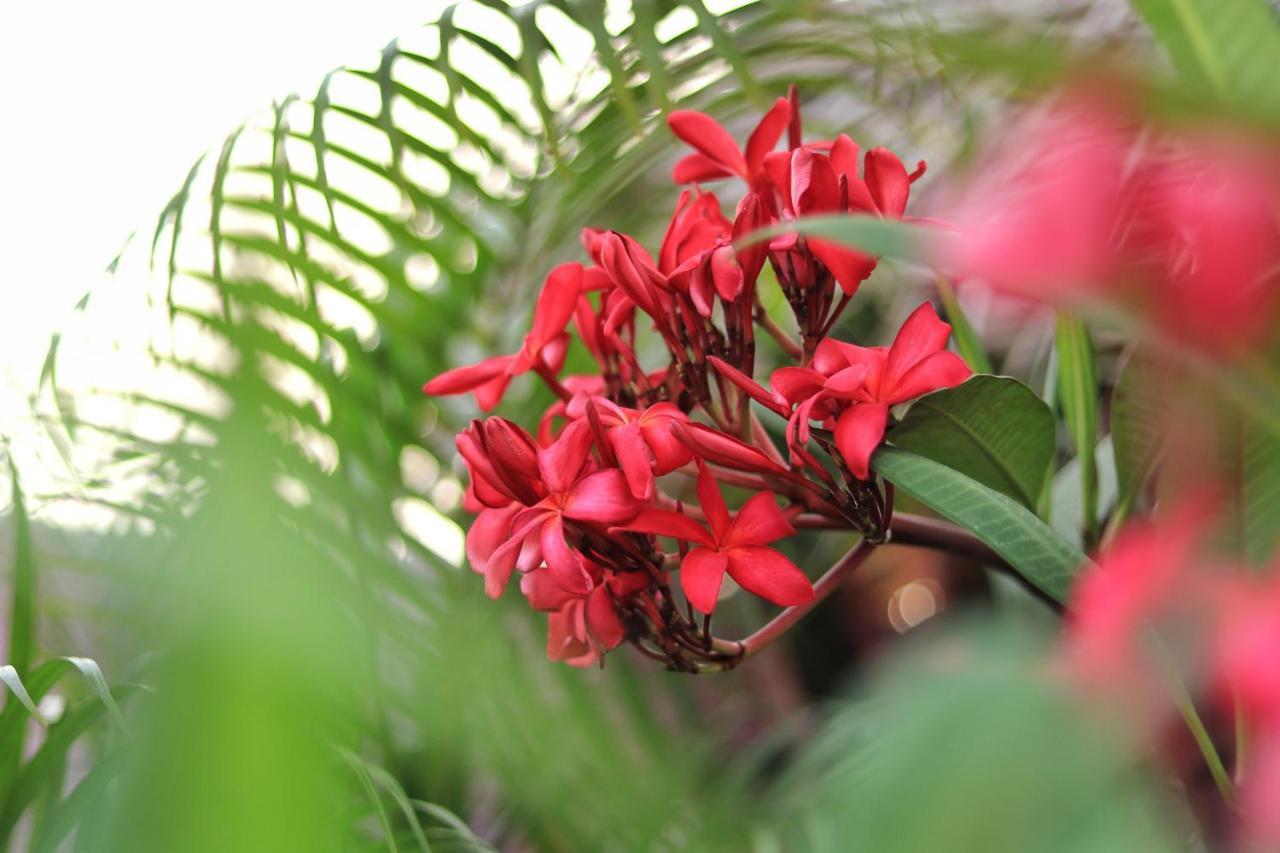 The Pink House Mamallapuram Holiday home *