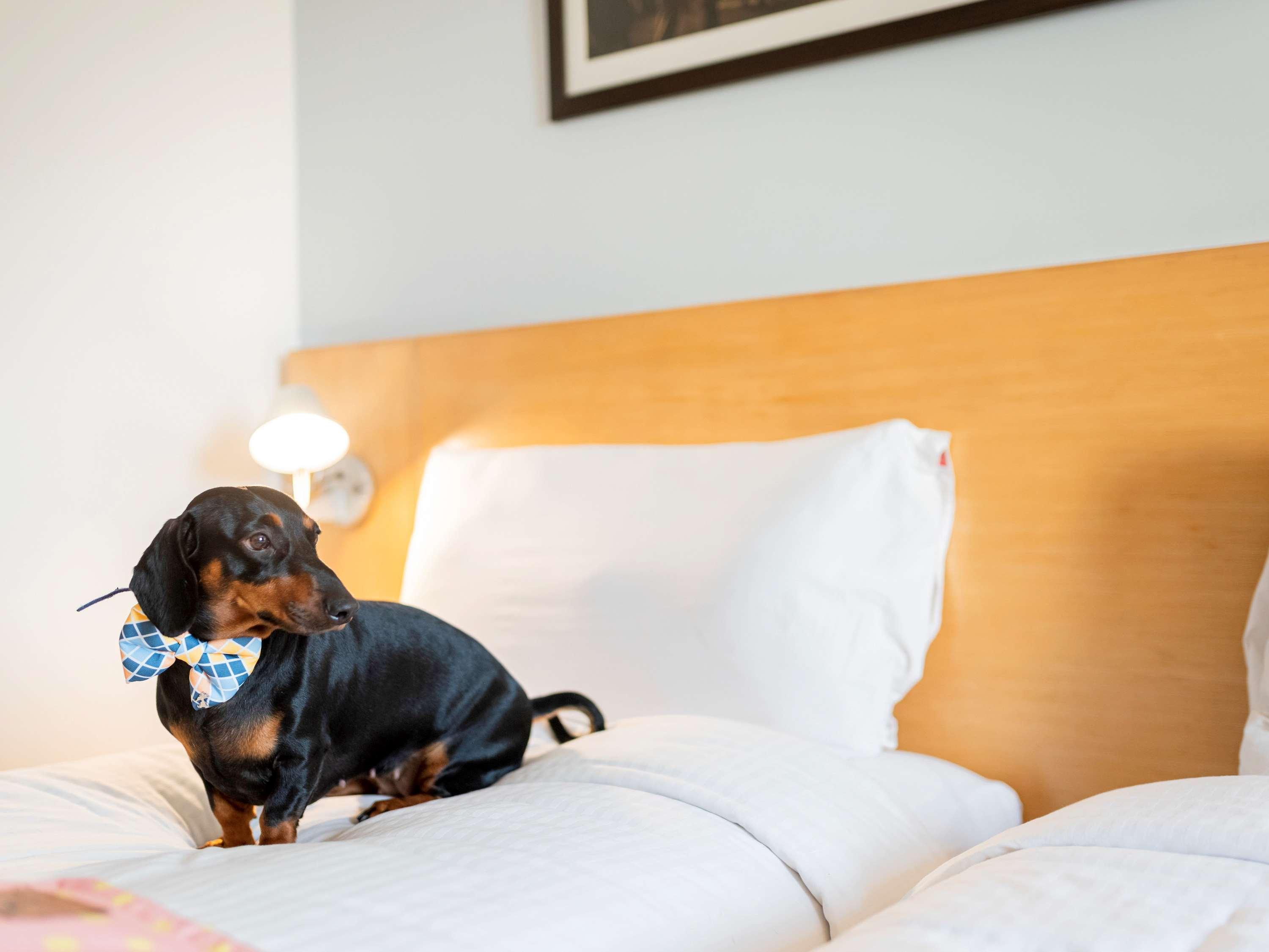 Ibis Centre - An Accor Brand 3*