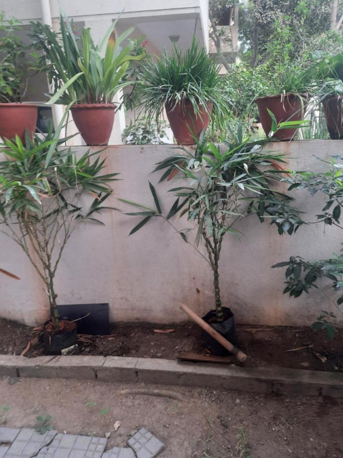 Shree Eco *
