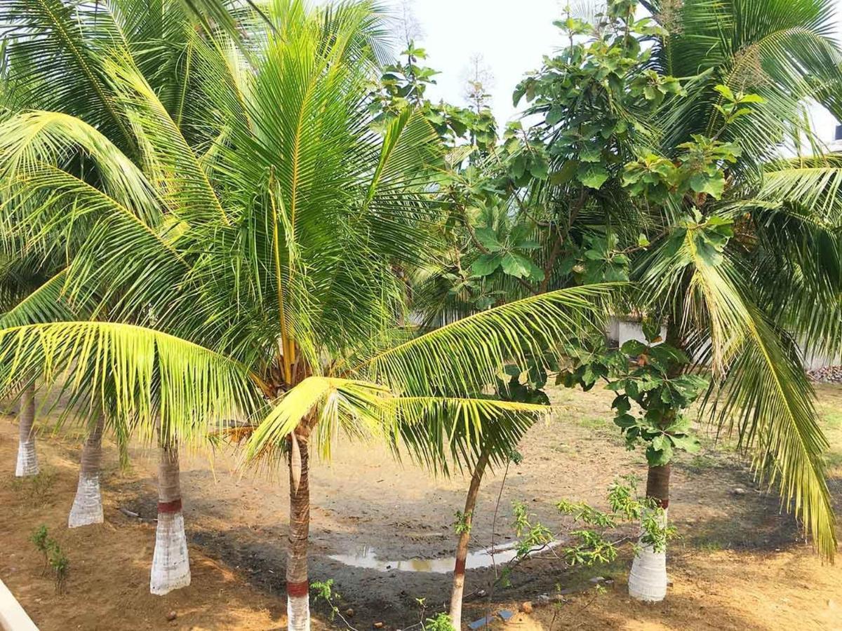Olive - Spacious 7 Bhk Ac With 1 Acre Garden, Swimming Pool And Outdoor Games Estadia no rancho *