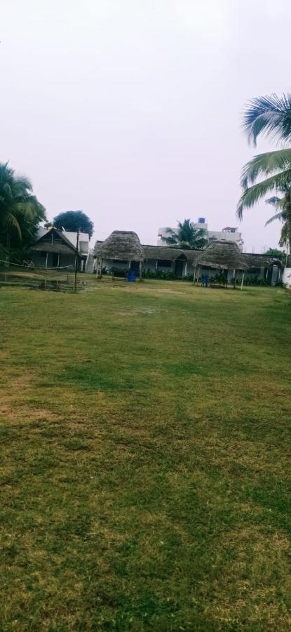 Farm stay Olive - Spacious 7 Bhk Ac With 1 Acre Garden, Swimming Pool And Outdoor Games *