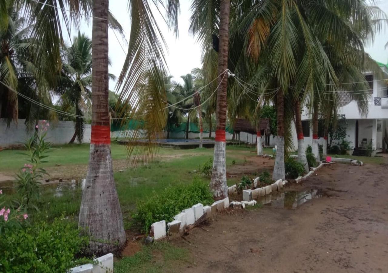 Olive - Spacious 7 Bhk Ac With 1 Acre Garden, Swimming Pool And Outdoor Games