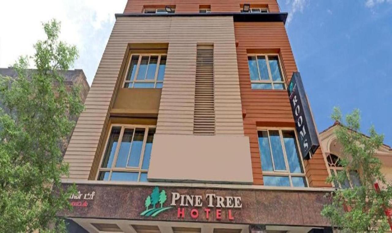 Pine Tree Boutique Hotel Chennai