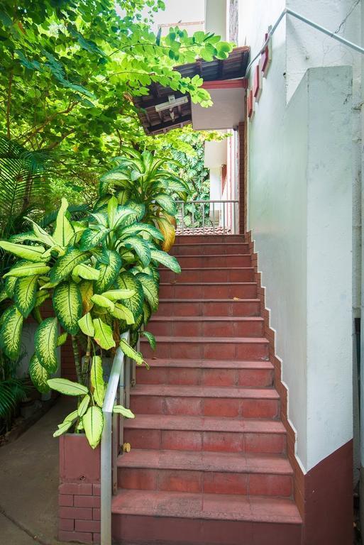 Bed & Breakfast Springhaven - City Center