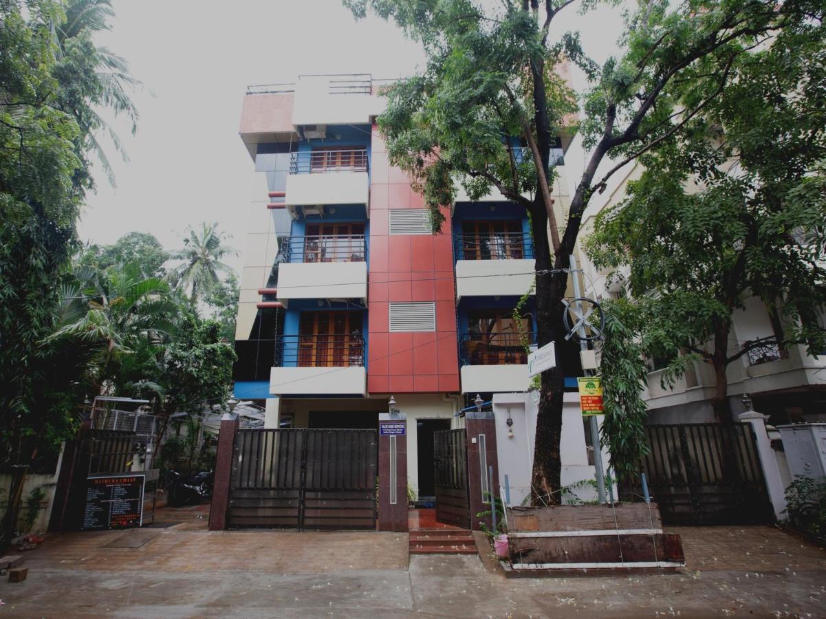 Collection O Value Service Near Guindy National Park Hotel Chennai