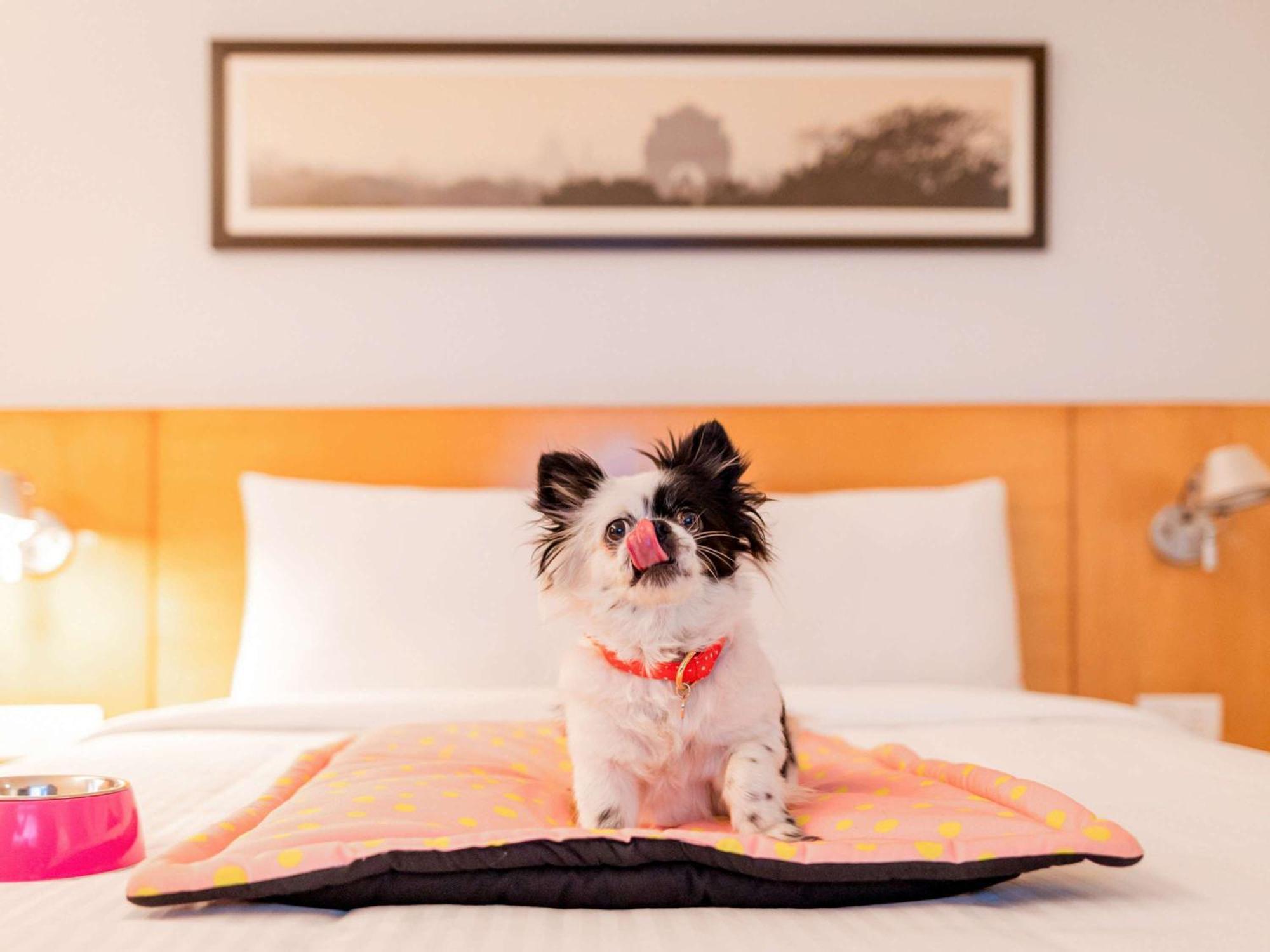 Hotel Ibis Centre - An Accor Brand Chennai