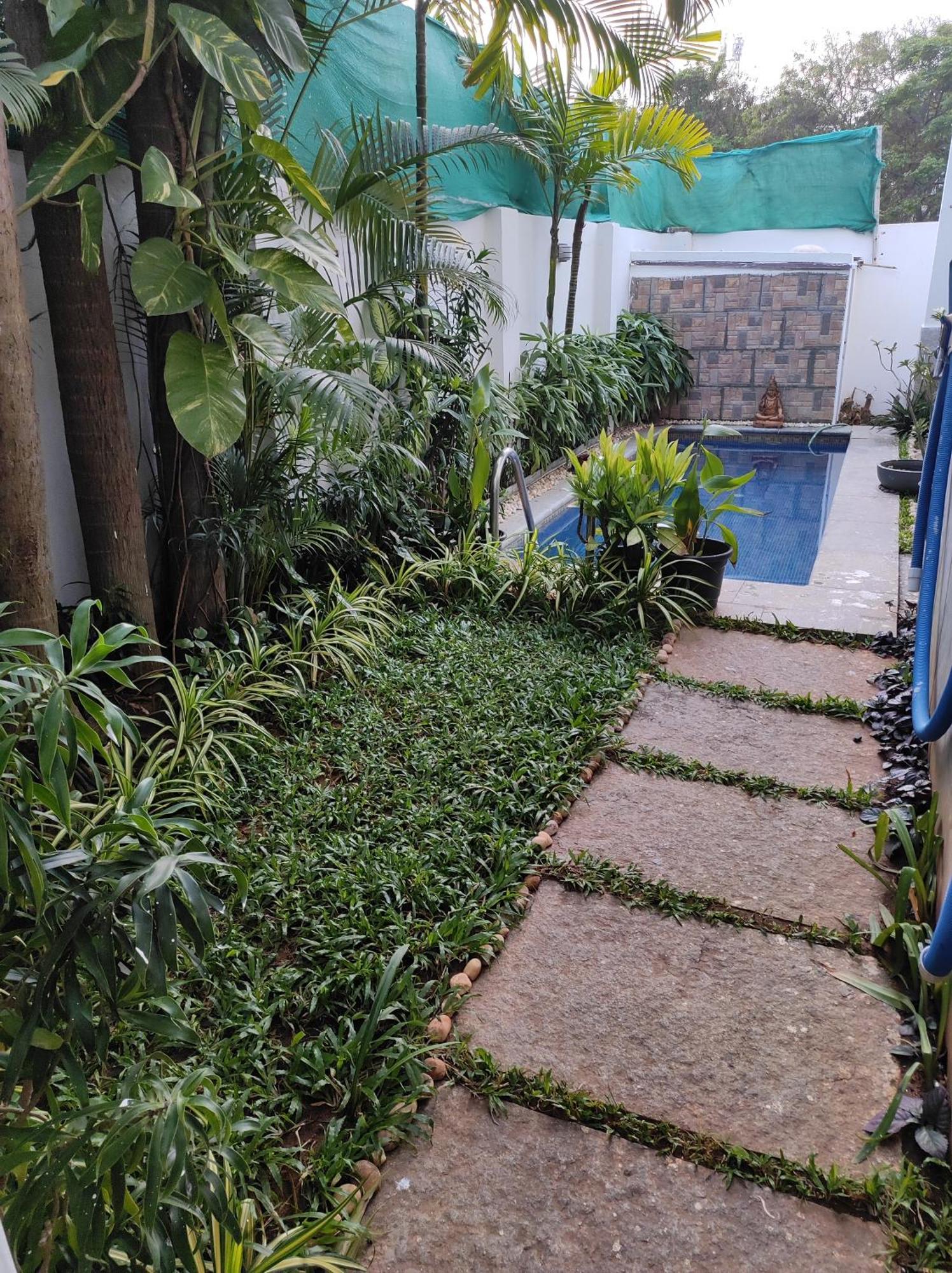 The House *