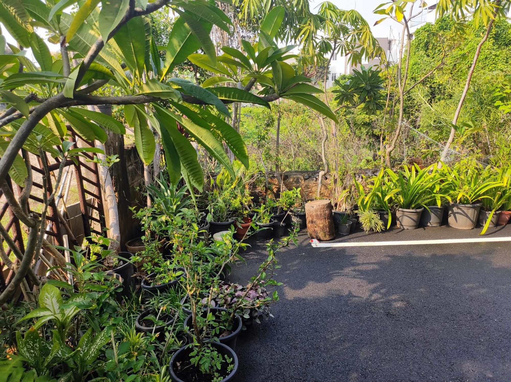 The House Homestay Chennai