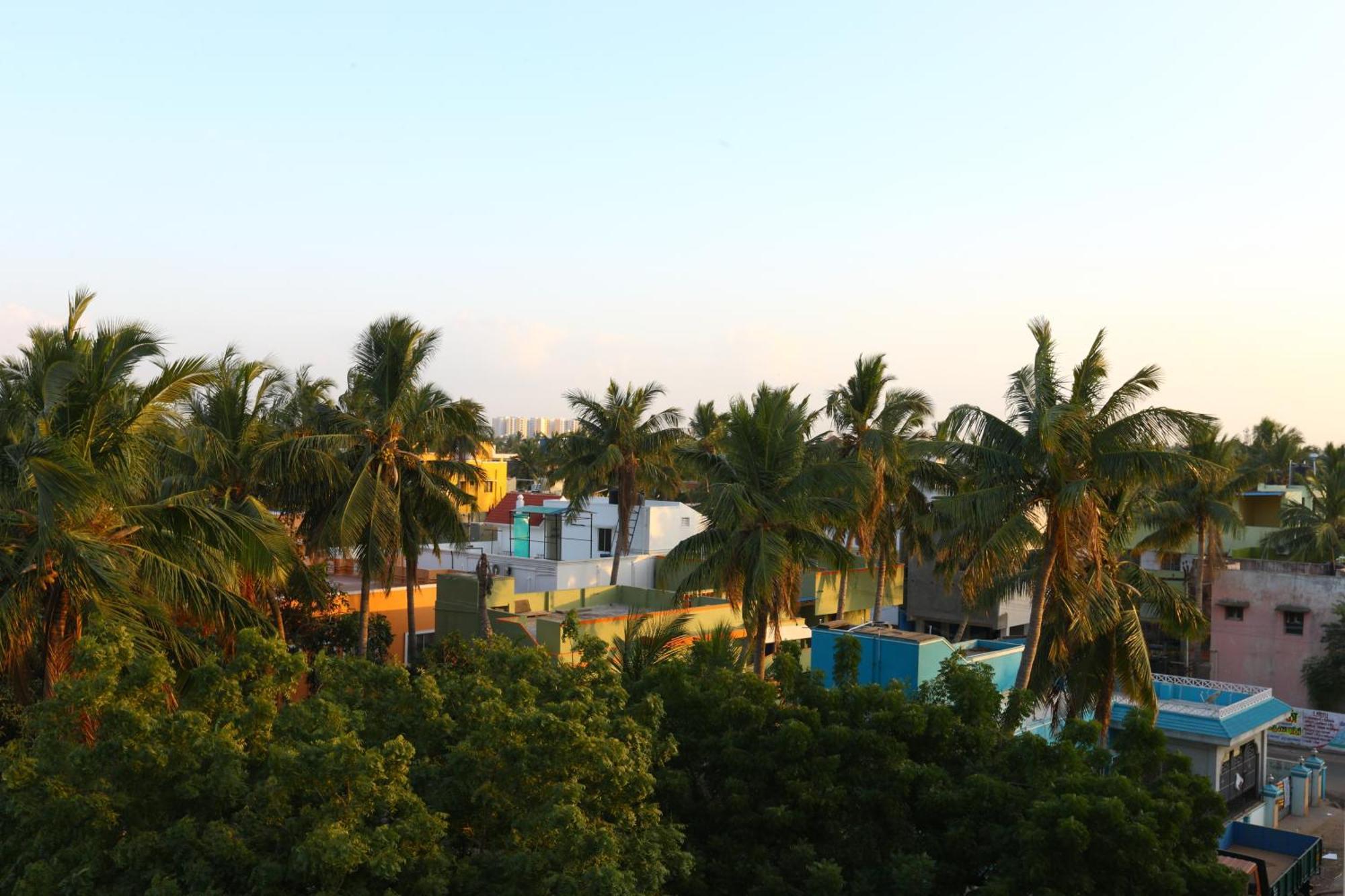 Salbala - Near Airport
