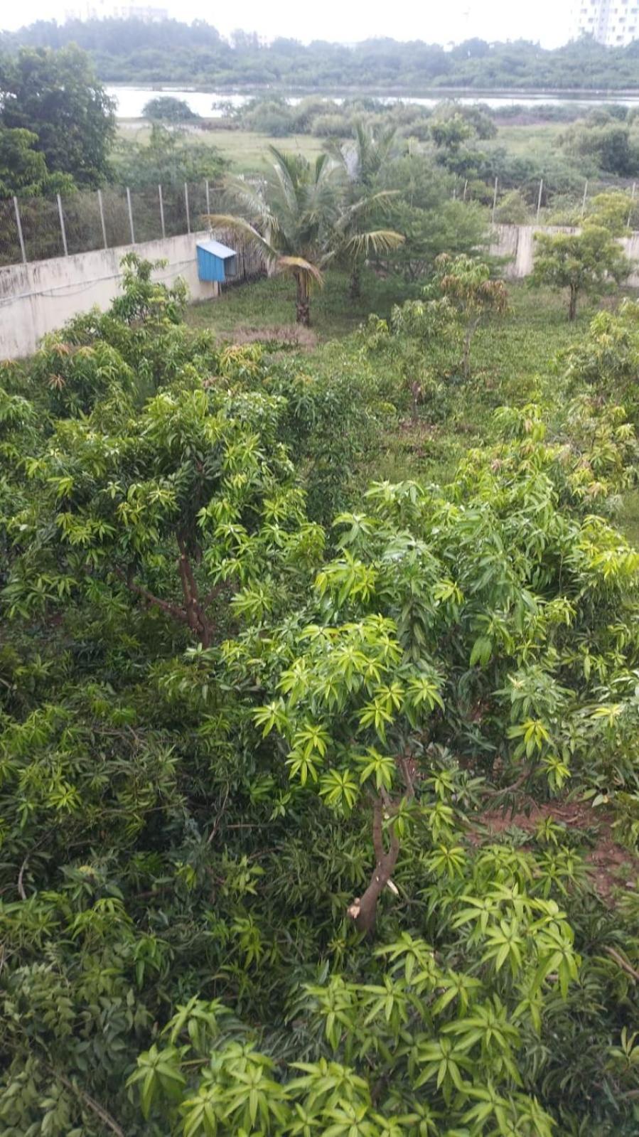 Holiday home The Lake Farm House Chennai