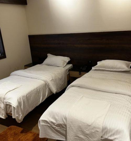 Ant Biz Near Trade Centre 4* Chennai