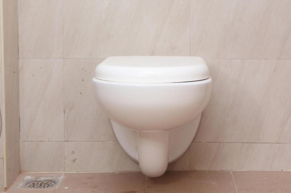 Starlight Near Dlf,l&t,miot,tradecenter,ramachandra Medical Coll Guest house