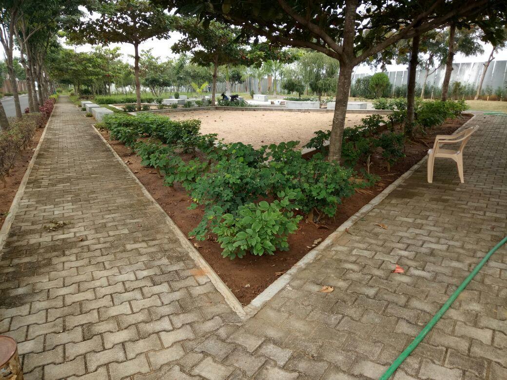 Grace Service * Chennai