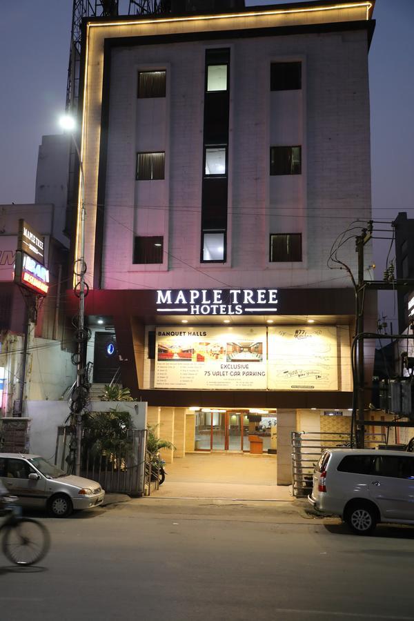 Maple Tree 3*