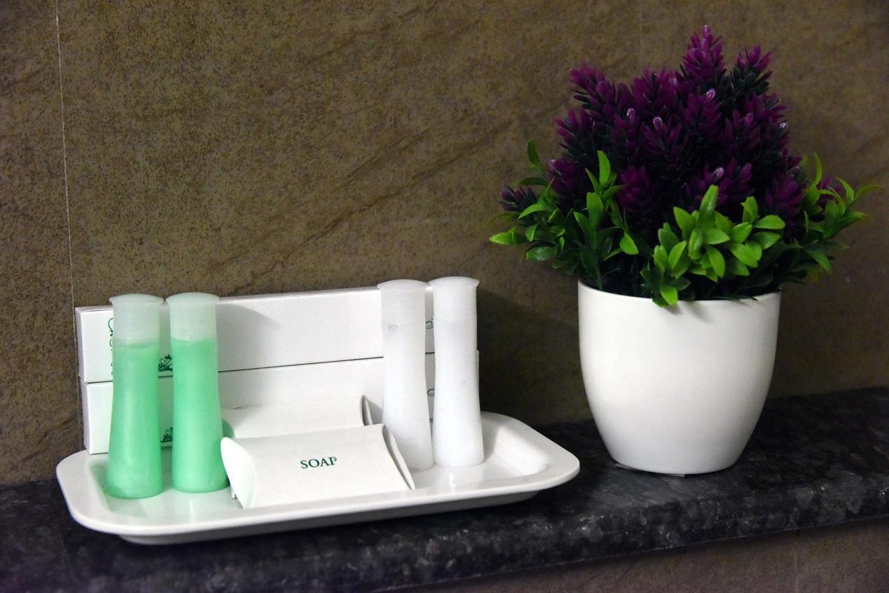 The Hydel Park - Business Class - Near Railway Station Hotel Chennai