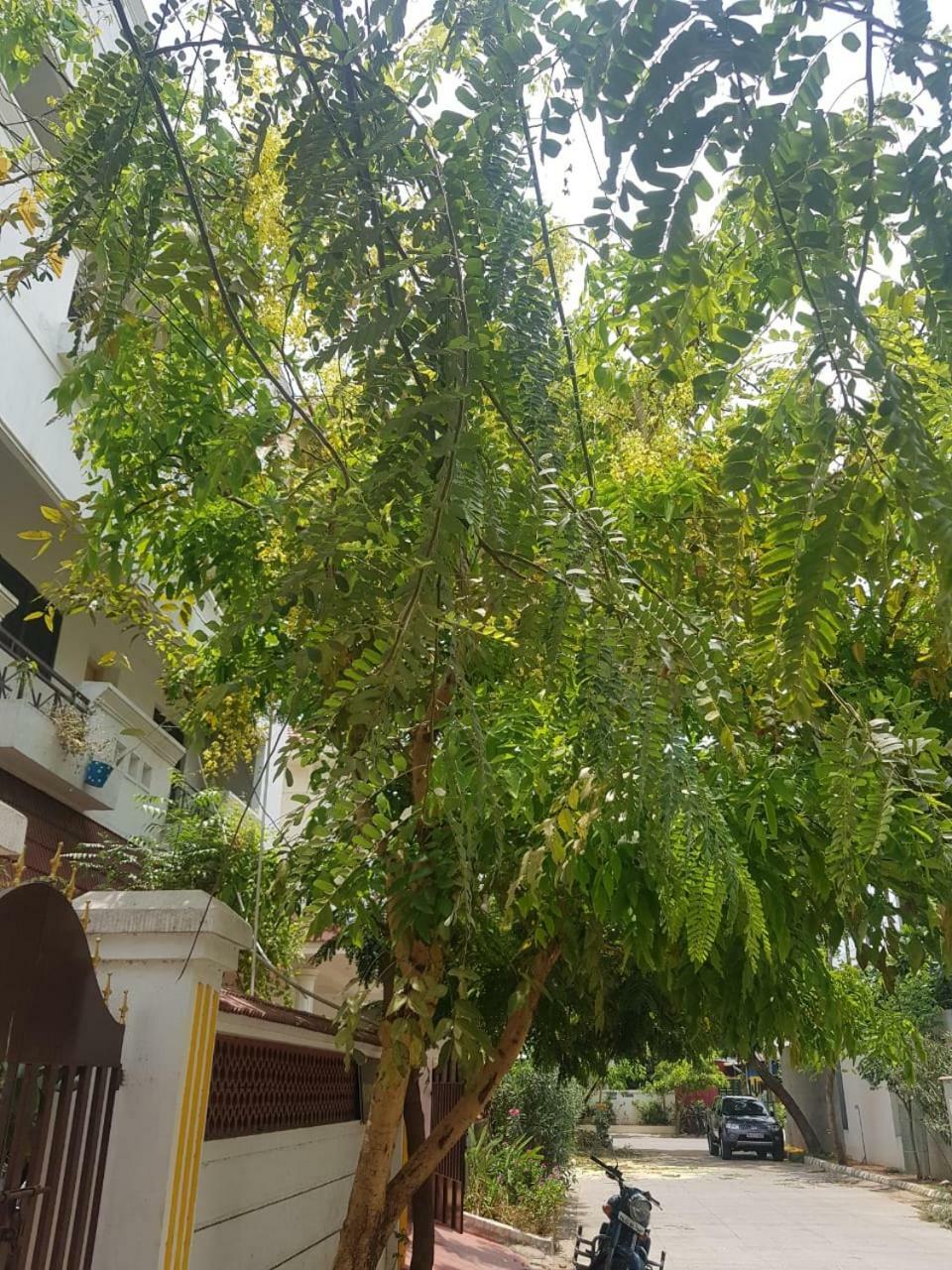 Royal Palace Hostel Chennai
