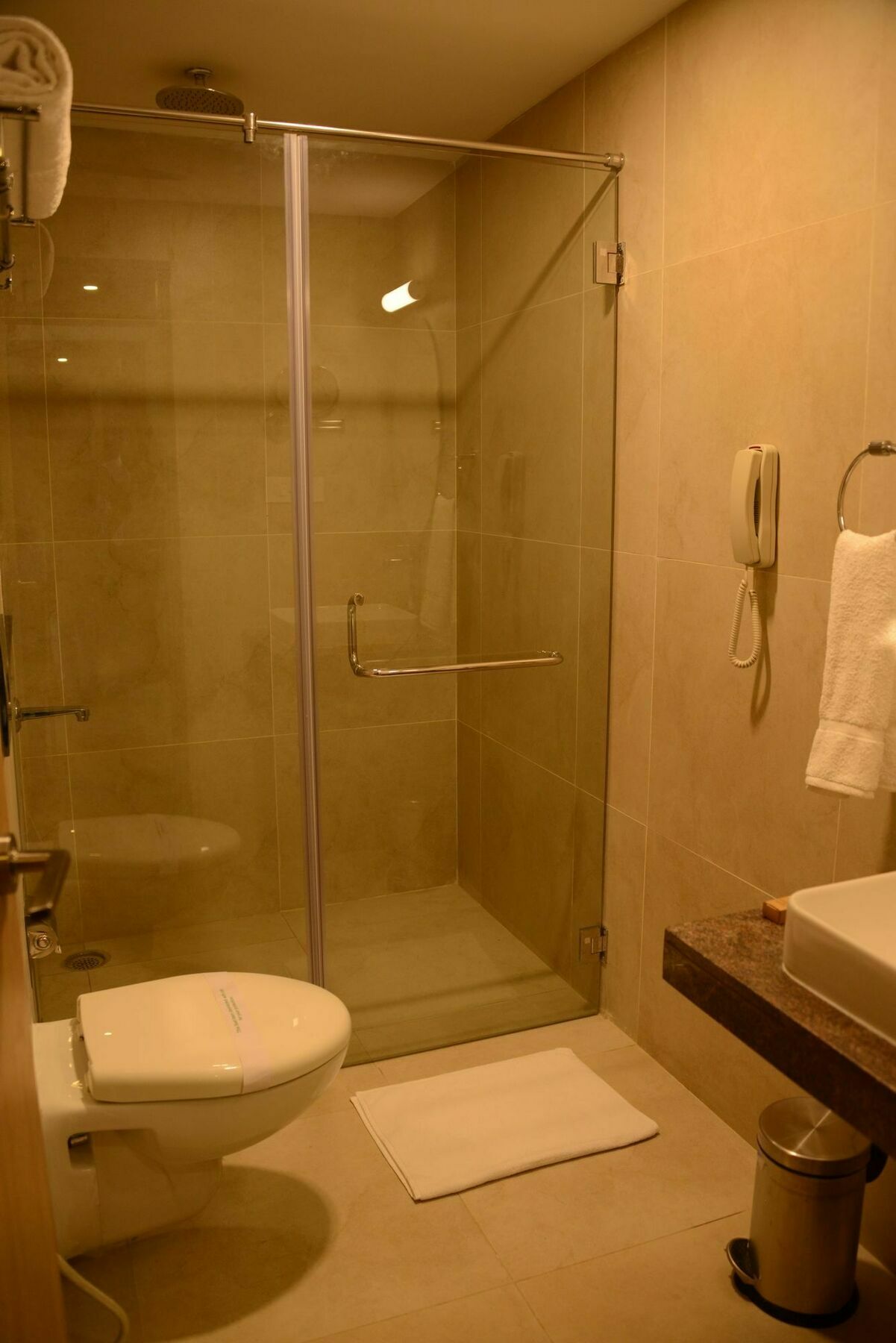 Blu Iris 3* Chennai