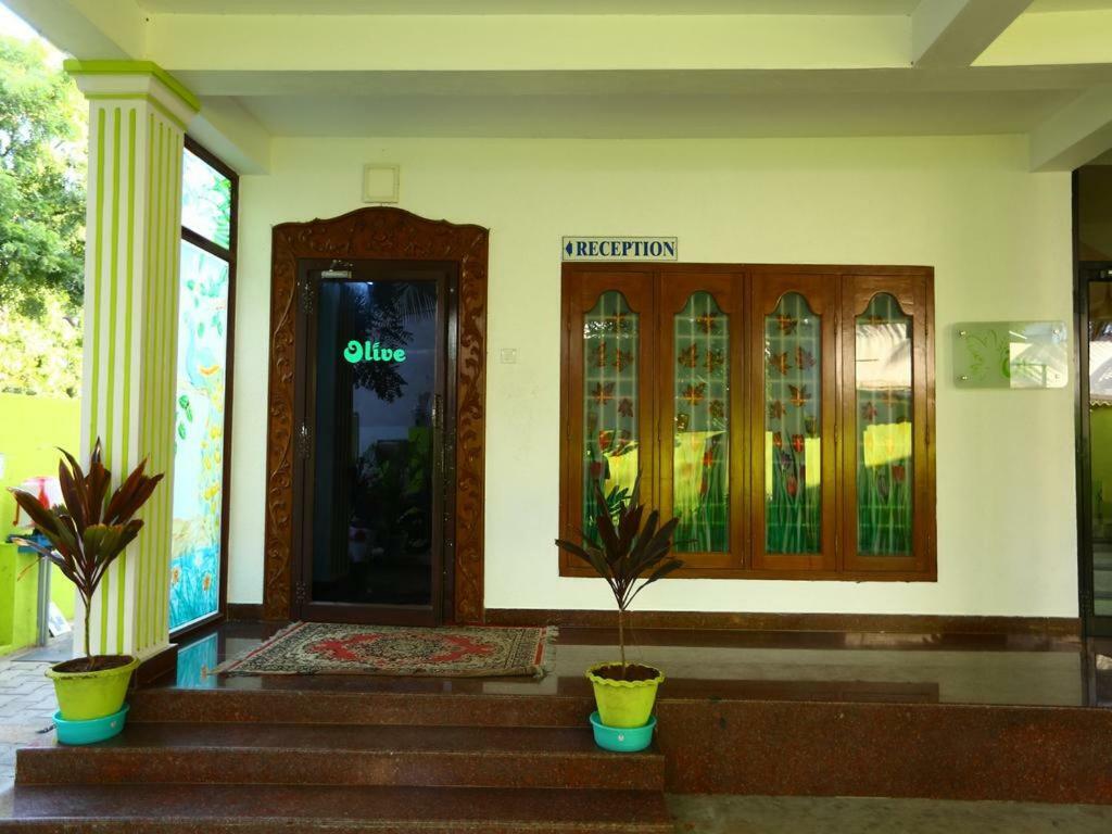 Hotel Olive 2*