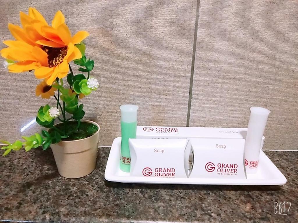 Grand Oliver Hotel Chennai