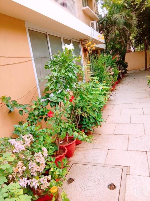 Hanu Reddy Residences Wallace Garden Guest house