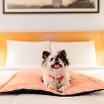 Ibis Chennai Sipcot - An Accor Brand