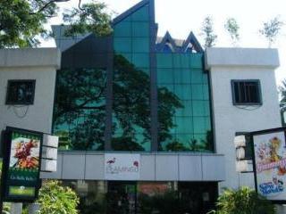Fabhotel Flamingo Anna Nagar 3* Chennai