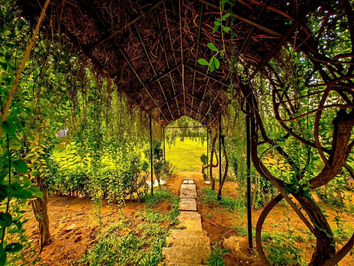 Royal Experiences Chettinad Classic Chennai