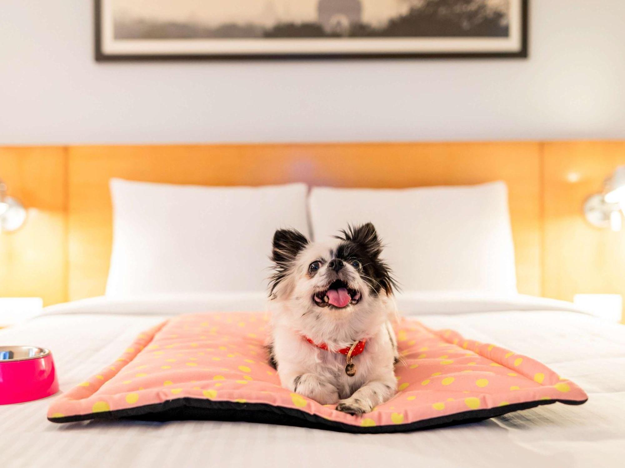Hotel Ibis Sipcot - An Accor Brand 3*