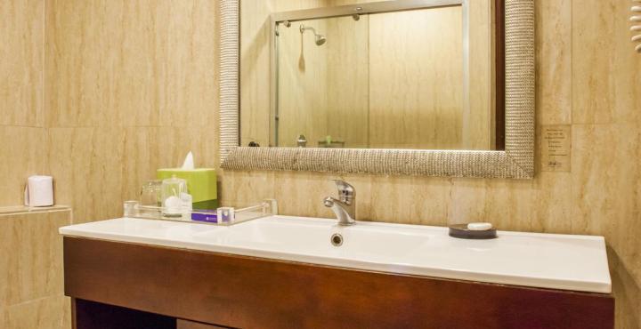 The Metroplace Inside Ascendas It Park Taramani Hotel 3*