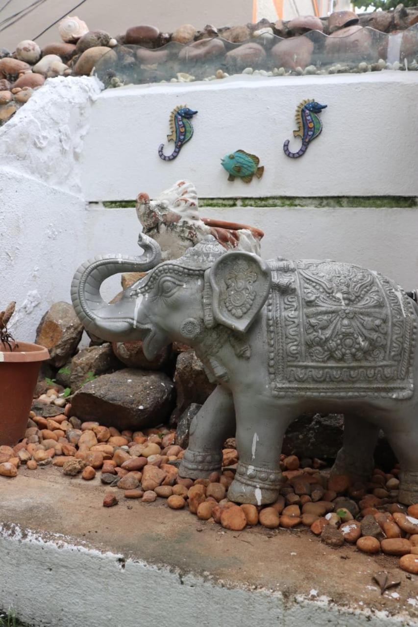 Ravana Egyptian's Chennai