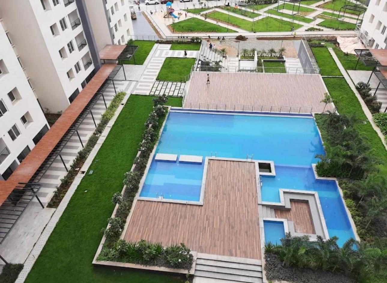 The View Signature