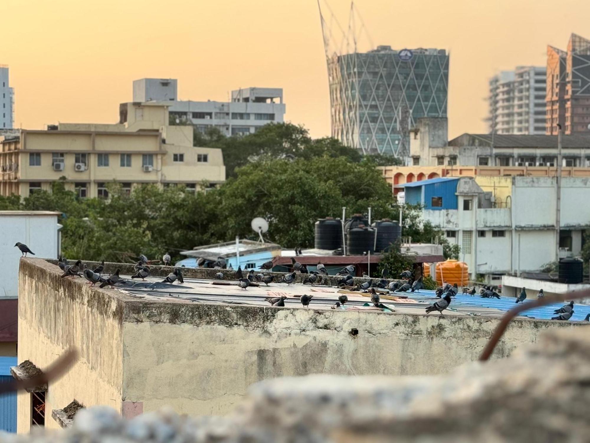 Hotel Al Haadi And Chennai
