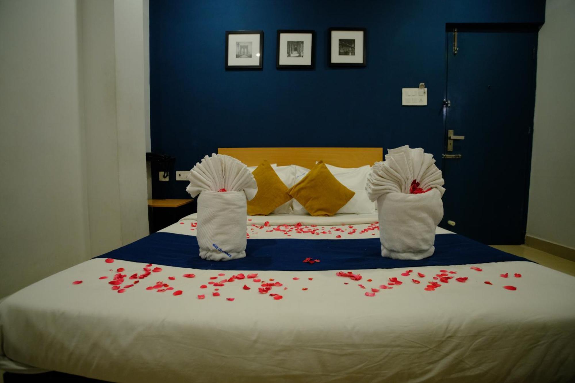 Hotel Blue Palace - Near Airport 3*