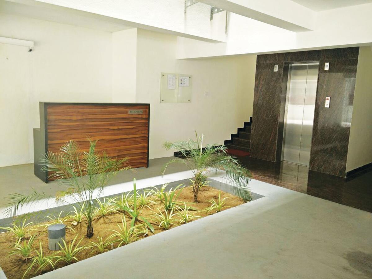 Kolam Serviced - Adyar. Chennai
