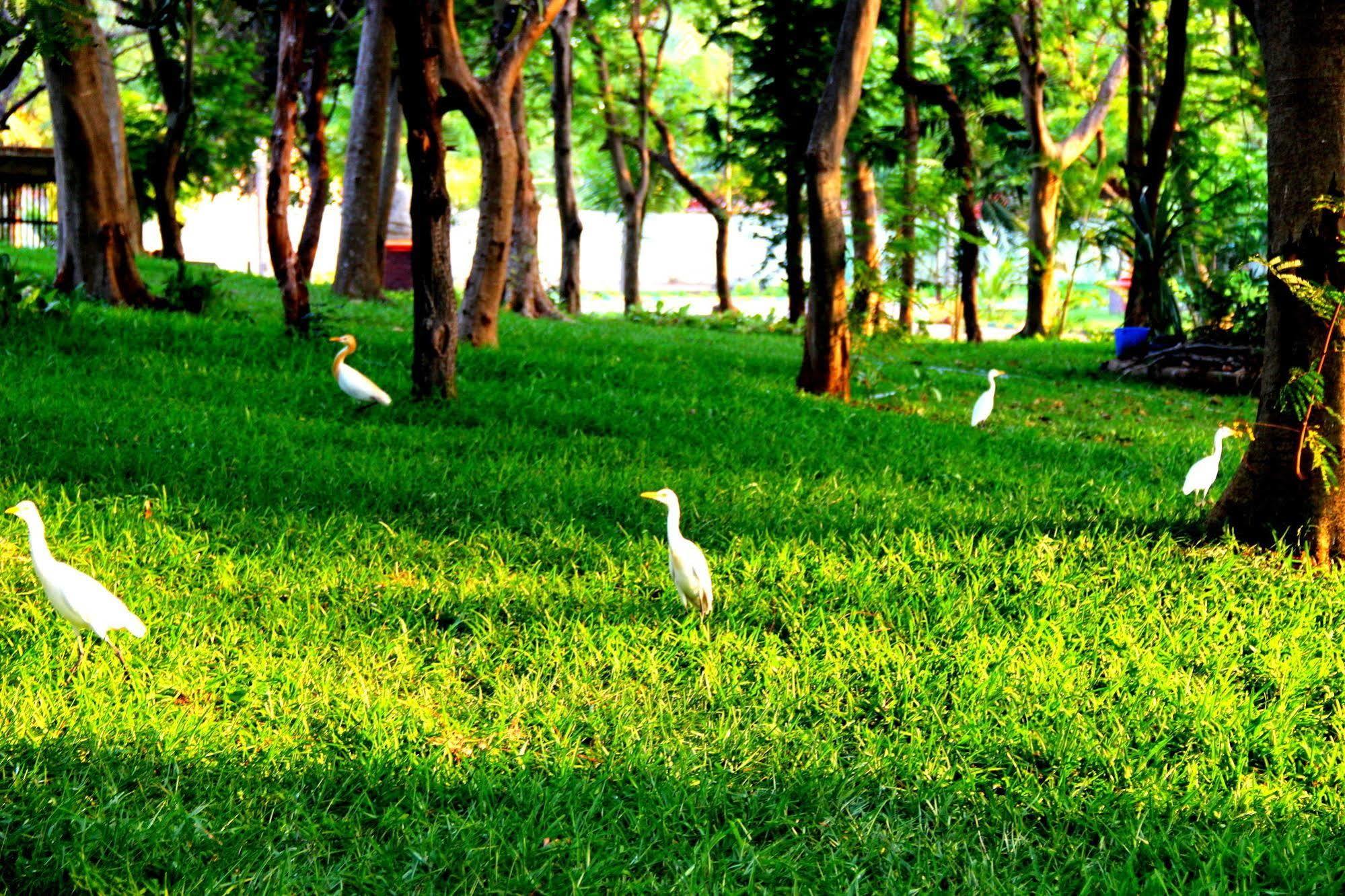 Vgp Golden Resort Chennai