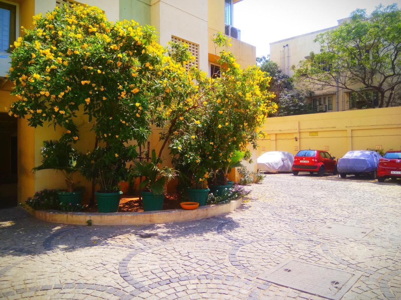 Beach Penthouse, Katil