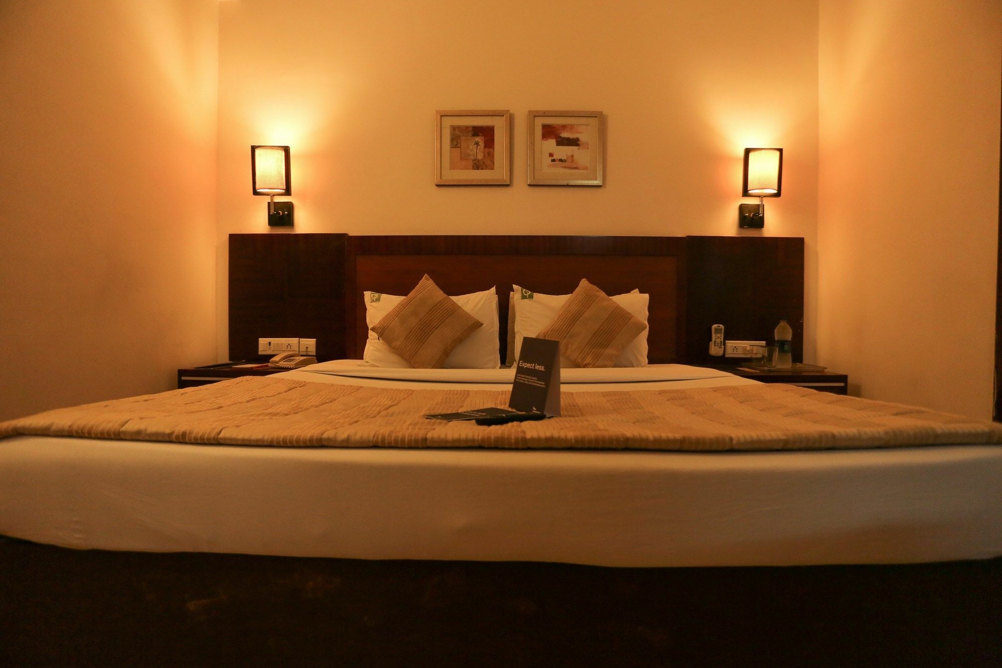 Hotel Oyo Townhouse 026 T Nagar Chennai